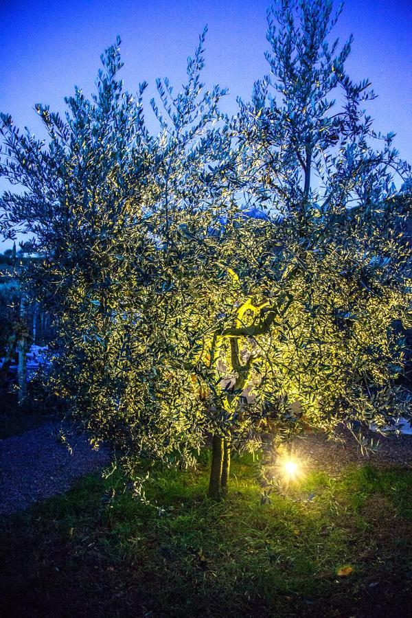 Agriturismo I Roseti Montepulciano Stazione Kültér fotó