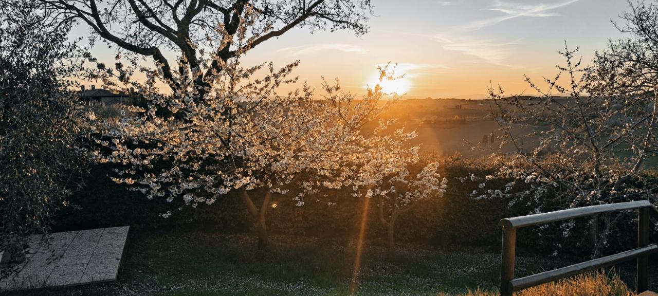 Agriturismo I Roseti Montepulciano Stazione Kültér fotó