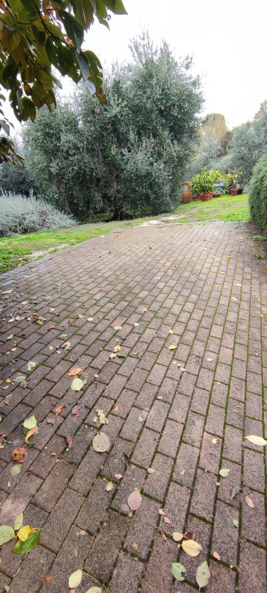 Agriturismo I Roseti Montepulciano Stazione Kültér fotó