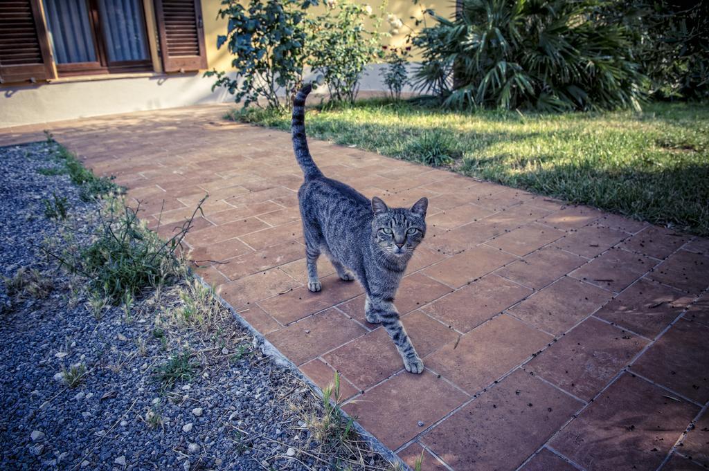 Agriturismo I Roseti Montepulciano Stazione Kültér fotó