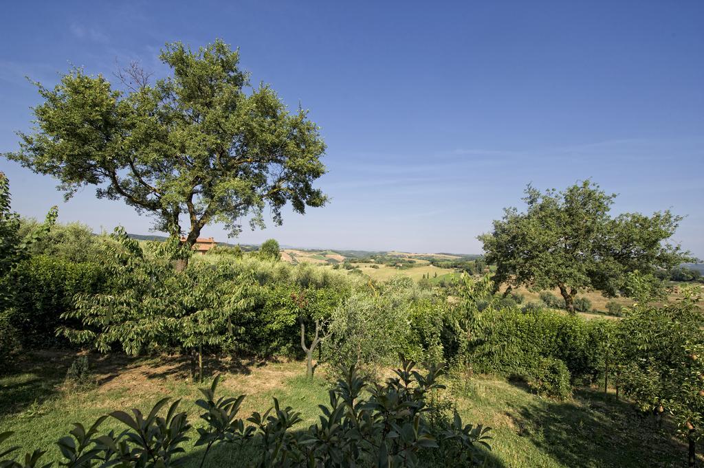 Agriturismo I Roseti Montepulciano Stazione Szoba fotó