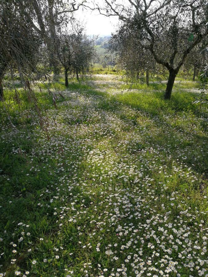 Agriturismo I Roseti Montepulciano Stazione Kültér fotó