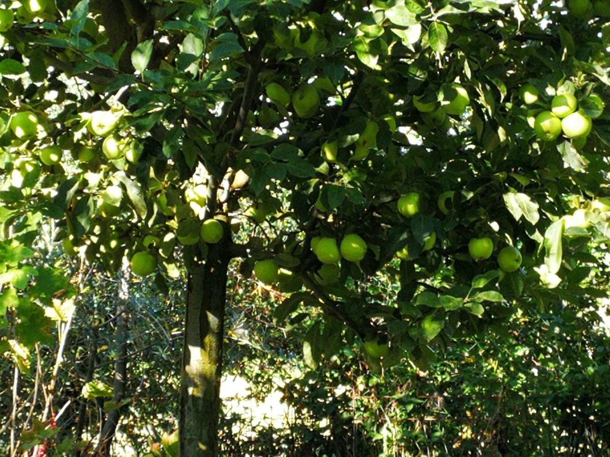 Agriturismo I Roseti Montepulciano Stazione Kültér fotó